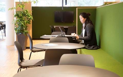 Filt opklæbet på væg i møderum hos TDC (11)