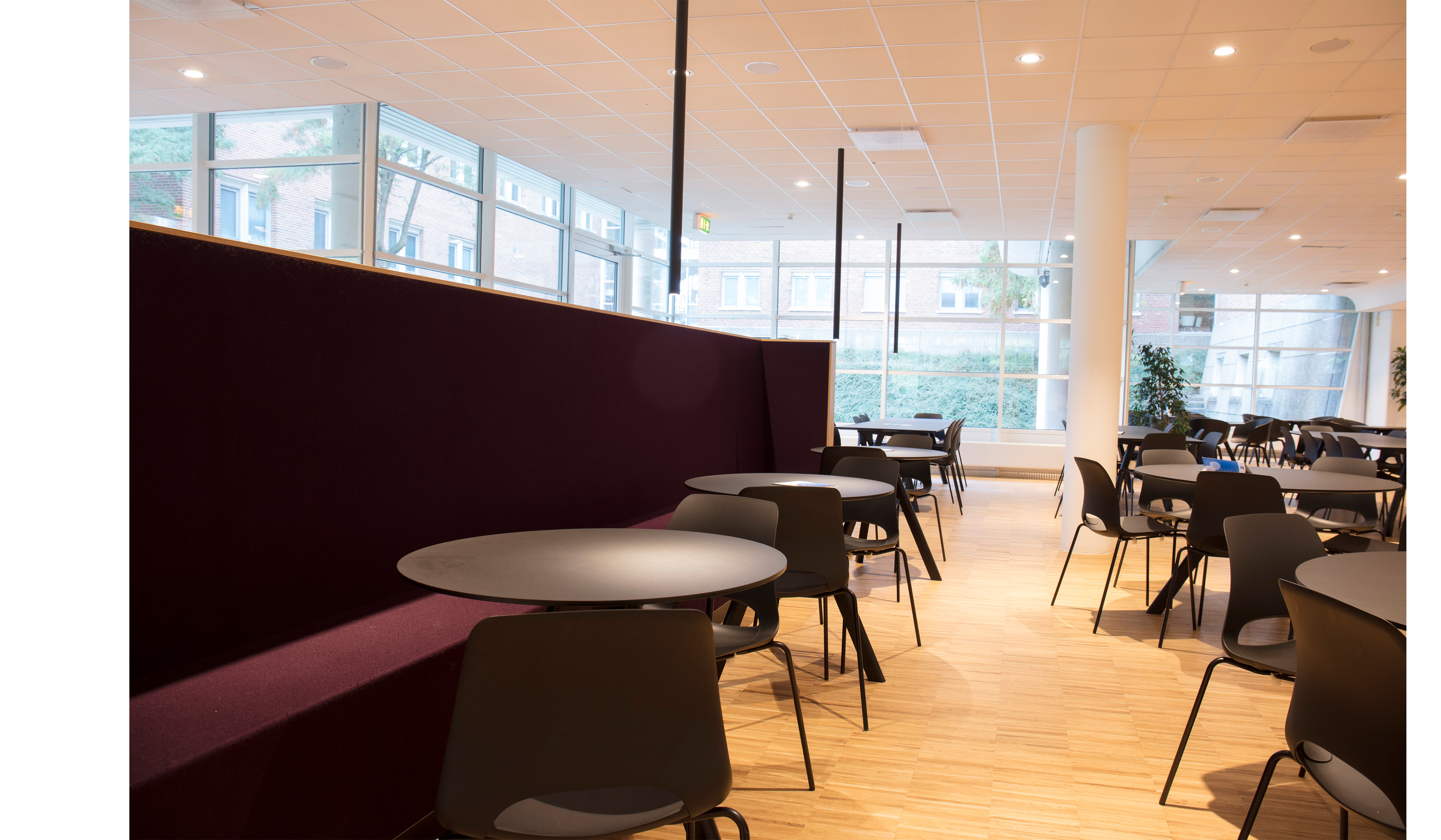 Filt opklæbet på væg i møderum hos TDC (17)