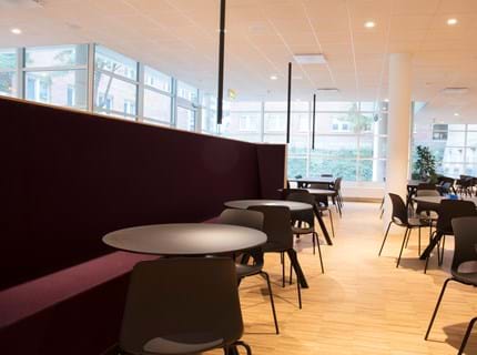 Filt opklæbet på væg i møderum hos TDC (17)