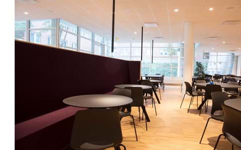 Filt opklæbet på væg i møderum hos TDC (17)