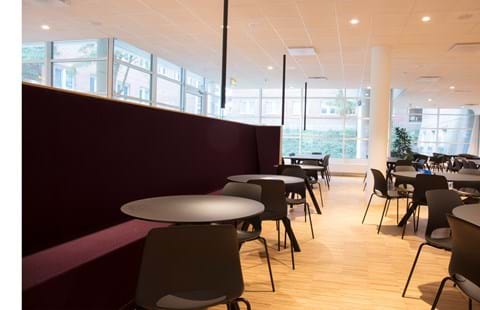 Filt opklæbet på væg i møderum hos TDC (17)