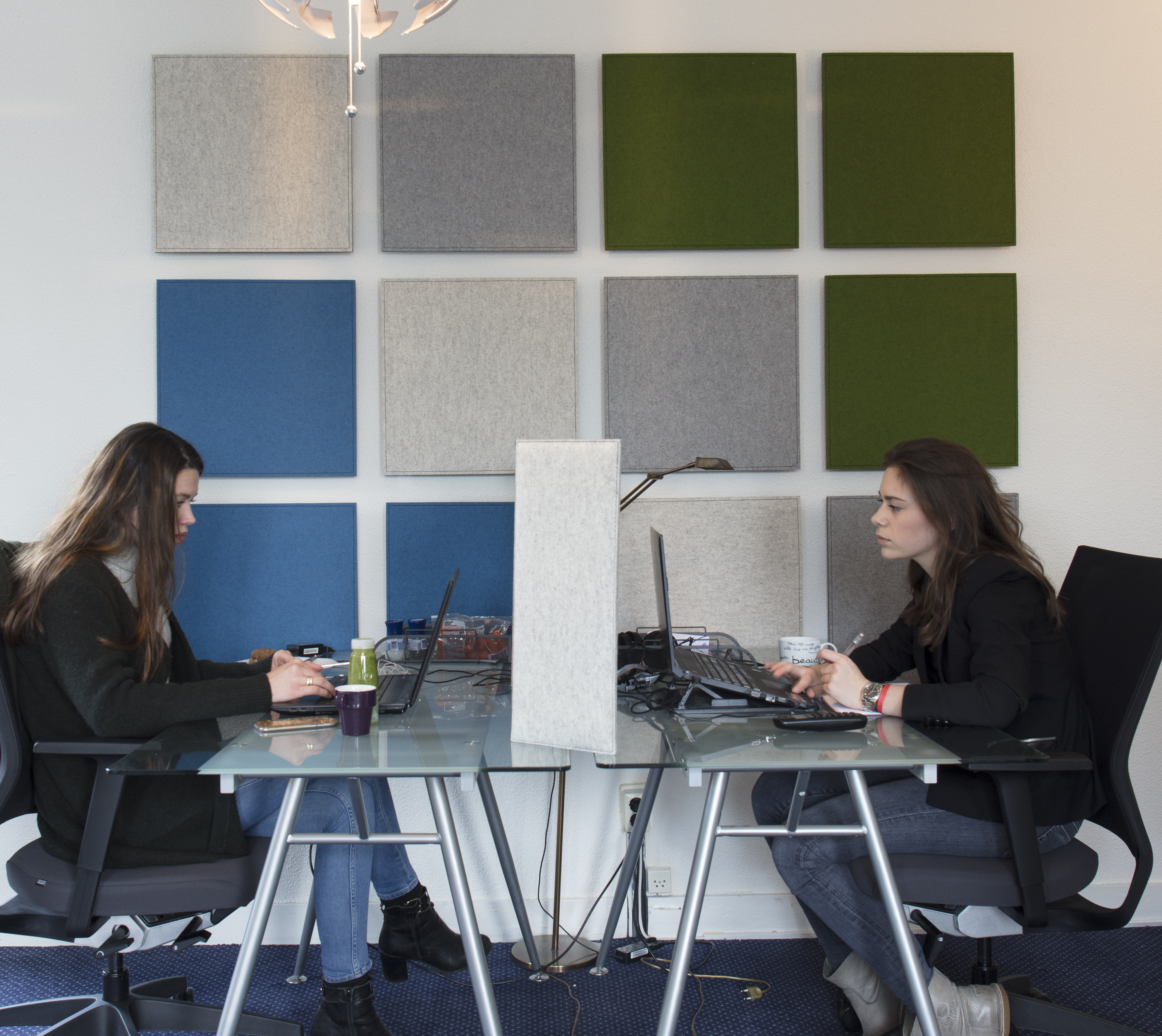 TwisterPlus akustikpaneler med filt på kontor (1)