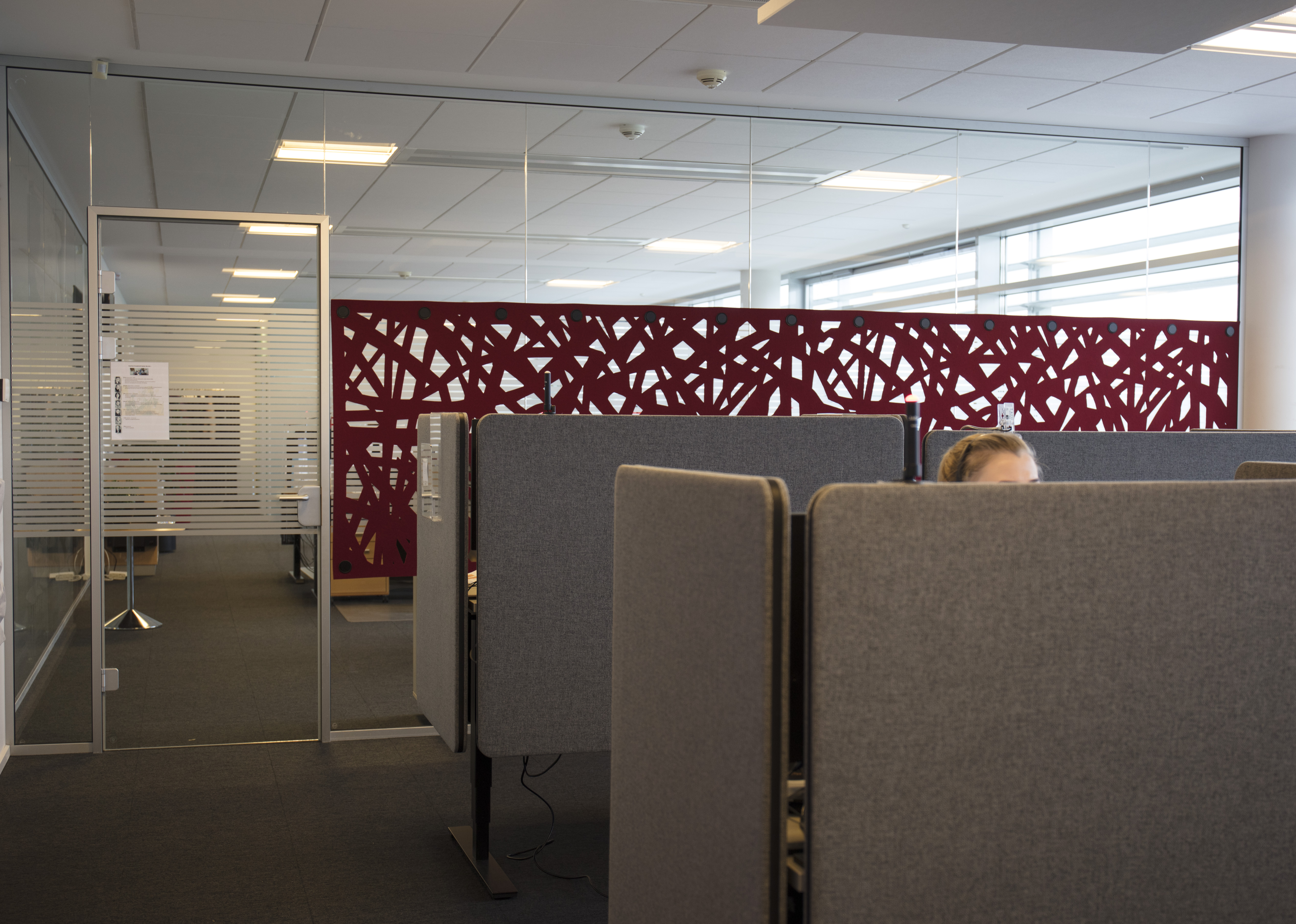 OK, CoverSingle rumafskærmning i filt (7)