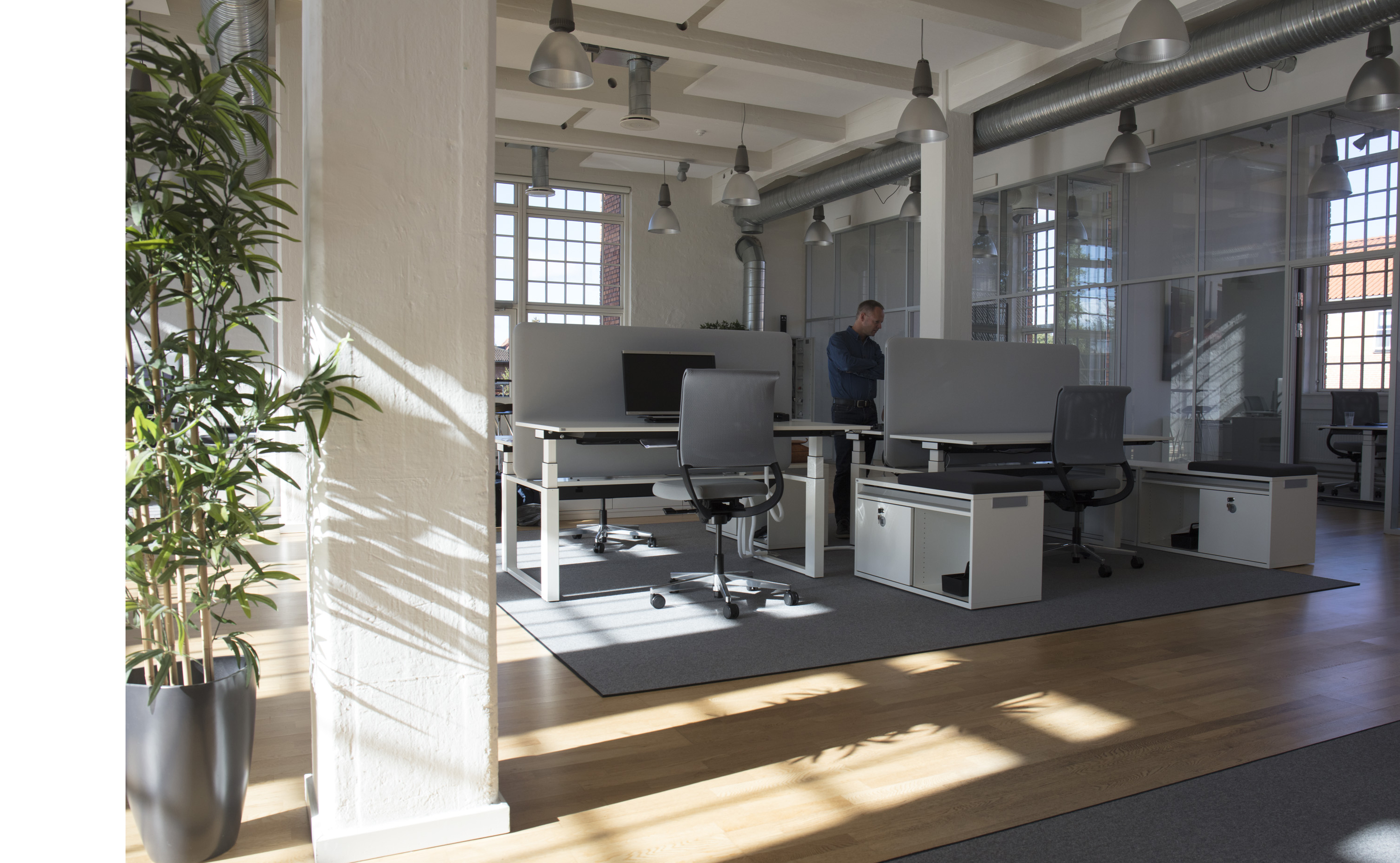 Arctic tæpper i kontor hos Mazda (1)