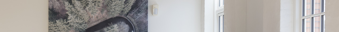 Arctic tæpper i kontor hos Mazda (3)