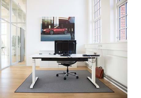 Arctic tæpper i kontor hos Mazda (5)