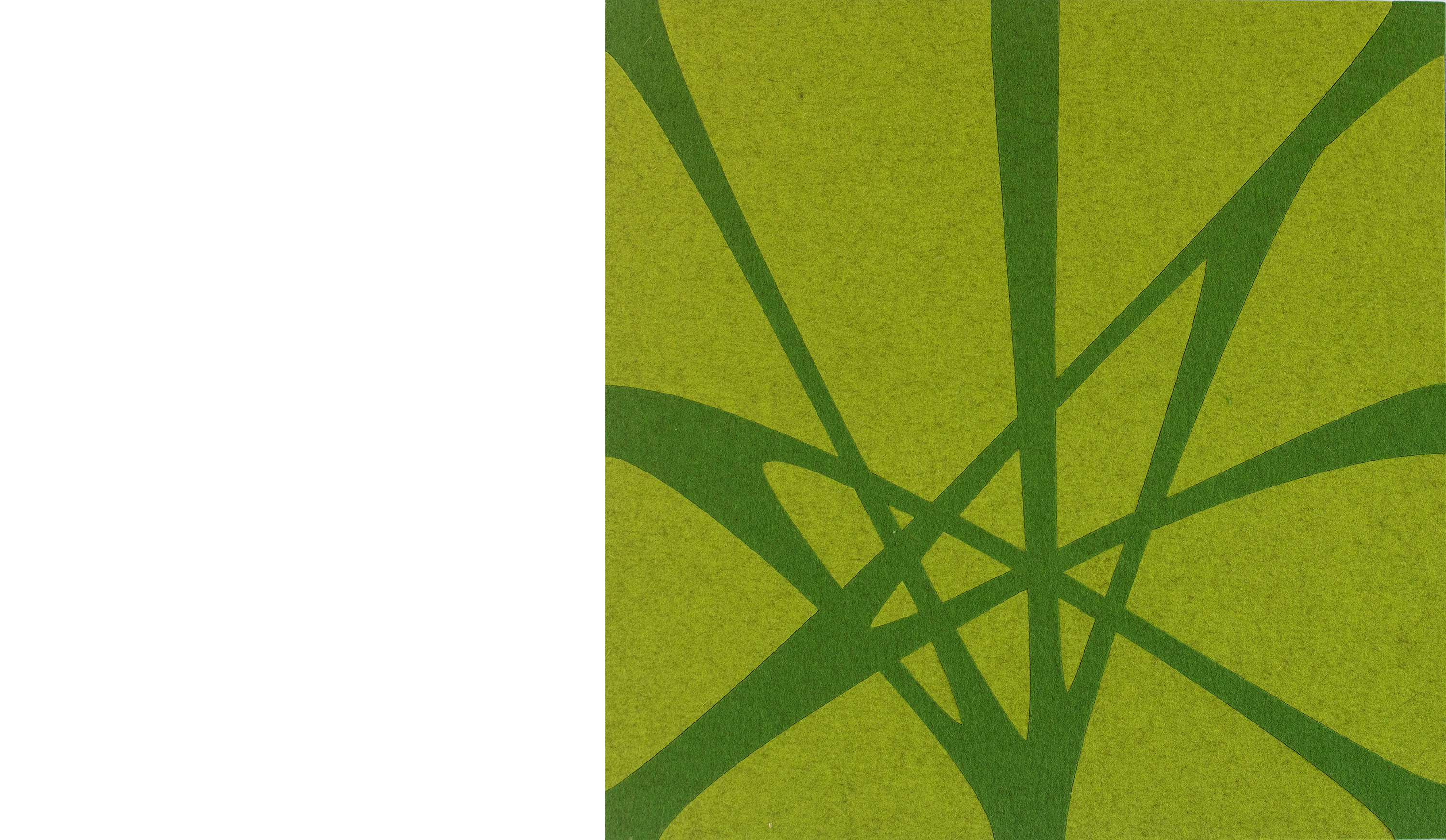 TwisterPlus akustikpanel i grøn filt på væg