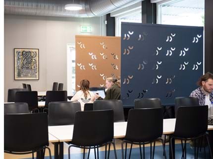 filt, Fraster filt, arbejdsro, rumdeling, skærmvæg, acoustic, roomdivider, felt.