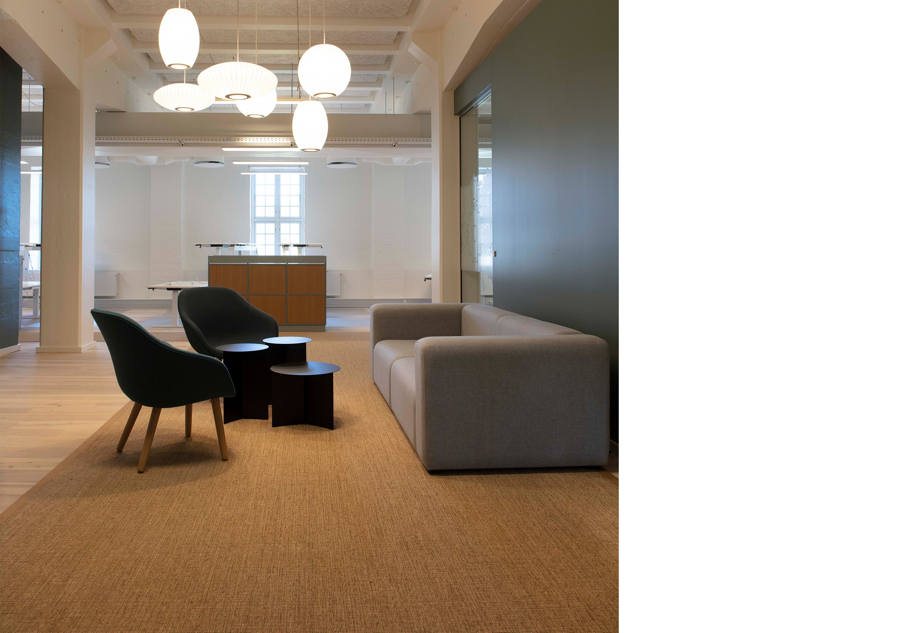 Fraster sisal tæppe under sofagruppe på kontor