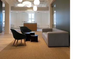 Fraster sisal tæppe under sofagruppe på kontor