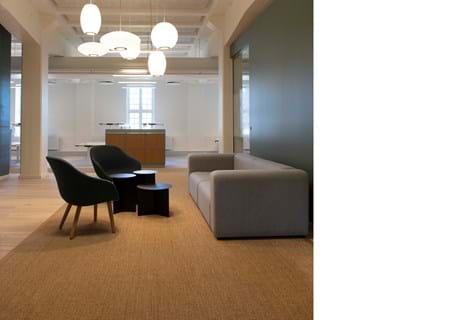 Fraster sisal tæppe under sofagruppe på kontor