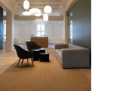 Fraster sisal tæppe under sofagruppe på kontor