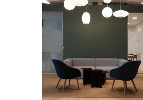 fraster sisal tæppe under sofagruppe på kontor