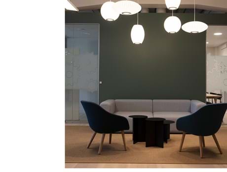 fraster sisal tæppe under sofagruppe på kontor