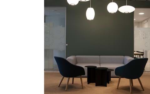 fraster sisal tæppe under sofagruppe på kontor