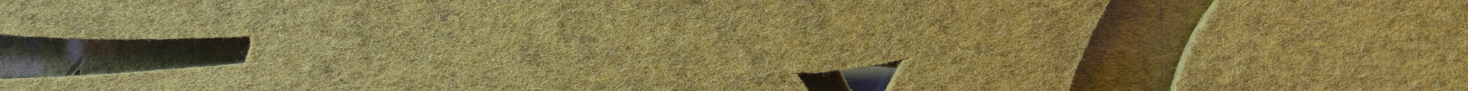 top, coversingle  i grøn filt.jpg